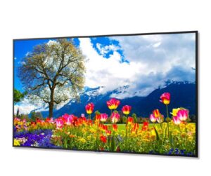 NEC M981 98" 4K Ultra High Definition Commercial Display / 3840x2160 / 500 cd/m2/ 24/7 3Yr warranty