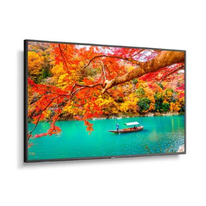 NEC MA431 43" Wide Color Gamut 4K UHD Professional Display/ 3840x2160 / 500 cd/m2/ 24/7 3Yr warranty